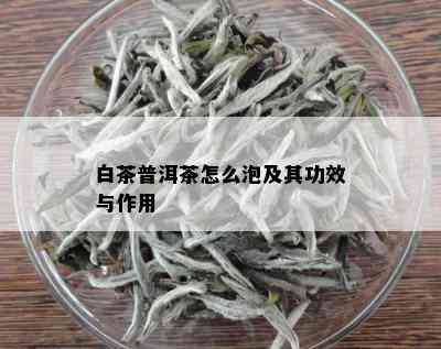 白茶普洱茶怎么泡及其功效与作用