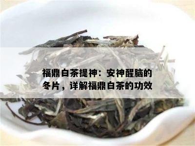 福鼎白茶提神：安神醒脑的冬片，详解福鼎白茶的功效