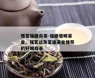 悟茗福鼎白茶-福鼎悟明茶业、福茗达及茗道茶业推荐的好喝白茶