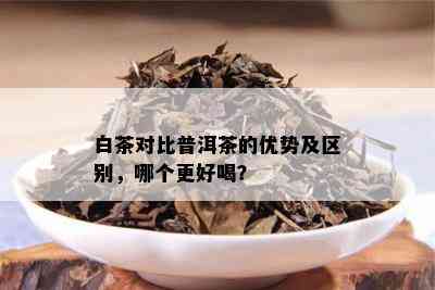 白茶对比普洱茶的优势及区别，哪个更好喝？