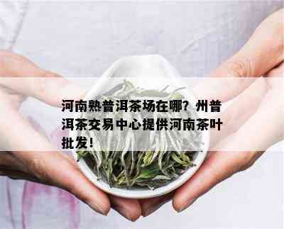 河南熟普洱茶场在哪？州普洱茶交易中心提供河南茶叶批发！