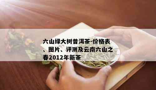 六山绿大树普洱茶-价格表、图片、评测及云南六山之春2012年新茶