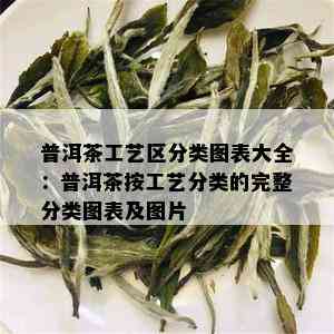 普洱茶工艺区分类图表大全：普洱茶按工艺分类的完整分类图表及图片