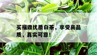 买福鼎优质白茶，享受高品质，真实可靠！