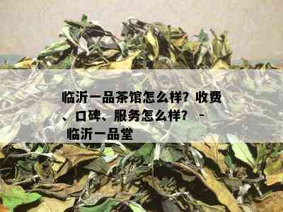 临沂一品茶馆怎么样？收费、口碑、服务怎么样？ - 临沂一品堂