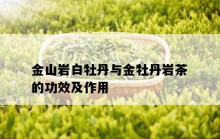 金山岩白牡丹与金牡丹岩茶的功效及作用