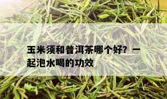 玉米须和普洱茶哪个好？一起泡水喝的功效