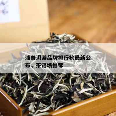 浦普洱茶品牌排行榜最新公布，茶馆场推荐