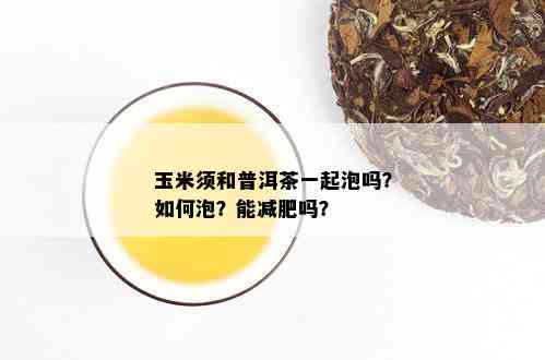 玉米须和普洱茶一起泡吗？如何泡？能减肥吗？