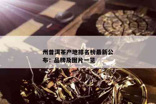 州普洱茶产地排名榜最新公布：品牌及图片一览