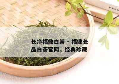 长净福鼎白茶 - 福鼎长品白茶官网，经典珍藏