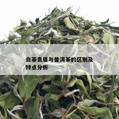 白茶贡眉与普洱茶的区别及特点分析