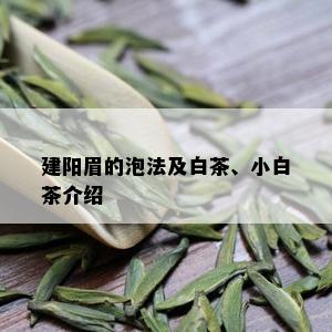 建阳眉的泡法及白茶、小白茶介绍