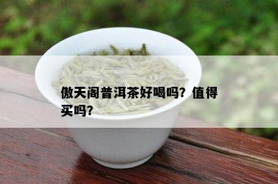 傲天阁普洱茶好喝吗？值得买吗？