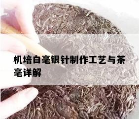 机培白毫银针制作工艺与茶毫详解