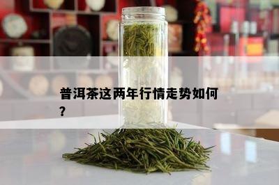 普洱茶这两年行情走势如何？