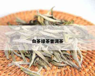 白茶绿茶普洱茶