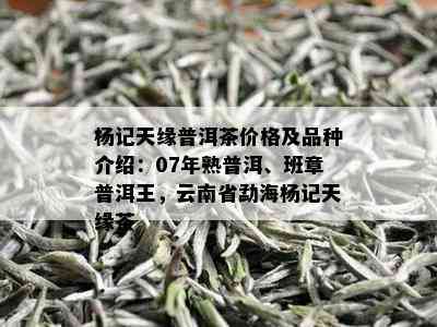 杨记天缘普洱茶价格及品种介绍：07年熟普洱、班章普洱王，云南省勐海杨记天缘茶