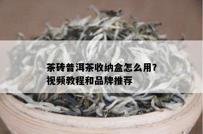 茶砖普洱茶收纳盒怎么用？视频教程和品牌推荐