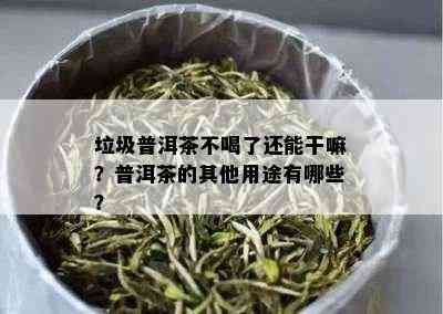 垃圾普洱茶不喝了还能干嘛？普洱茶的其他用途有哪些？