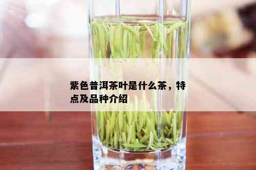 紫色普洱茶叶是什么茶，特点及品种介绍