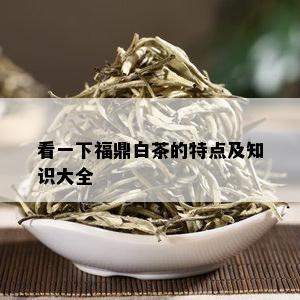 看一下福鼎白茶的特点及知识大全