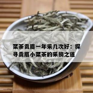 菜茶贡眉一年采几次好：探寻贡眉小菜茶的采摘之道