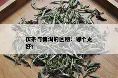 茯茶与普洱的区别：哪个更好？