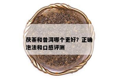 茯茶和普洱哪个更好？正确泡法和口感评测