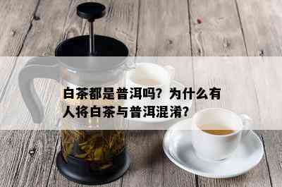 白茶都是普洱吗？为什么有人将白茶与普洱混淆？