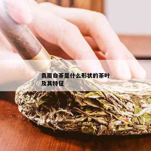 贡眉白茶是什么形状的茶叶及其特征