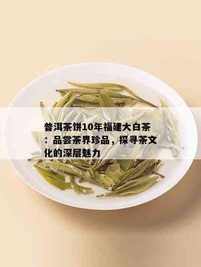 普洱茶饼10年福建大白茶：品尝茶界珍品，探寻茶文化的深层魅力