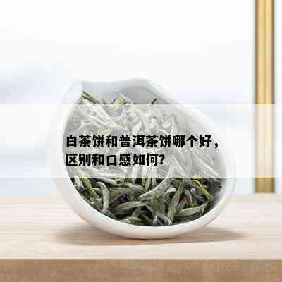 白茶饼和普洱茶饼哪个好，区别和口感如何？