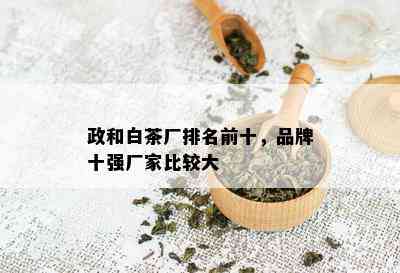 政和白茶厂排名前十，品牌十强厂家比较大