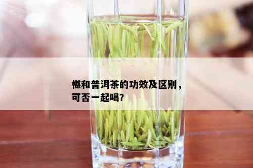 椹和普洱茶的功效及区别，可否一起喝？