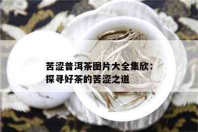 苦涩普洱茶图片大全集欣：探寻好茶的苦涩之道