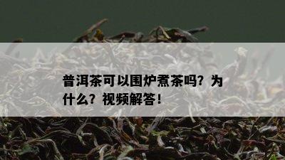 普洱茶可以围炉煮茶吗？为什么？视频解答！