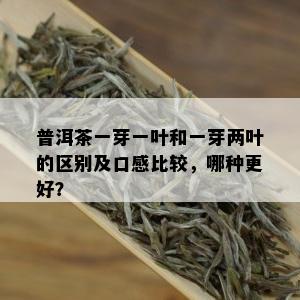 普洱茶一芽一叶和一芽两叶的区别及口感比较，哪种更好？