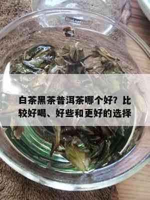 白茶黑茶普洱茶哪个好？比较好喝、好些和更好的选择