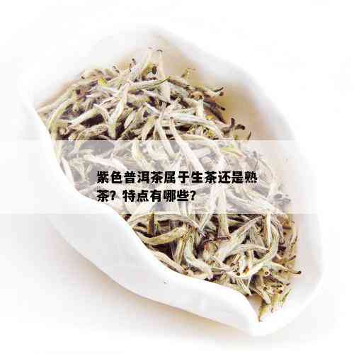 紫色普洱茶属于生茶还是熟茶？特点有哪些？