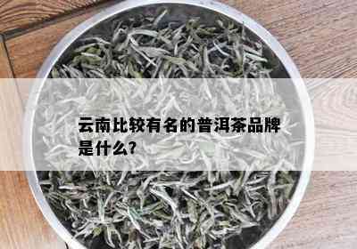 云南比较有名的普洱茶品牌是什么？