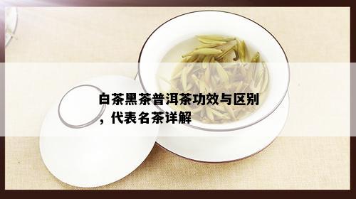 白茶黑茶普洱茶功效与区别，代表名茶详解