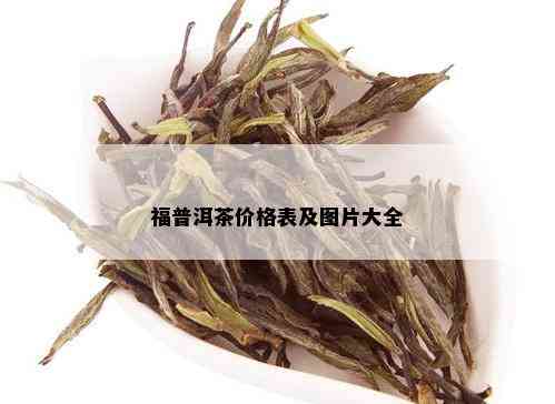 福普洱茶价格表及图片大全