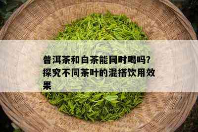 普洱茶和白茶能同时喝吗？探究不同茶叶的混搭饮用效果