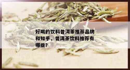 好喝的饮料普洱茶推荐品牌和知乎，普洱茶饮料推荐有哪些？