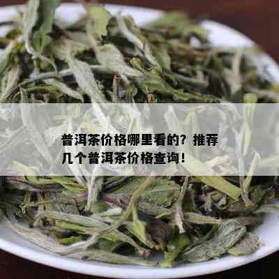 普洱茶价格哪里看的？推荐几个普洱茶价格查询！