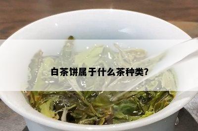 白茶饼属于什么茶种类？