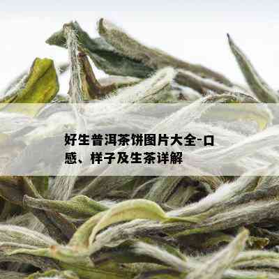 好生普洱茶饼图片大全-口感、样子及生茶详解