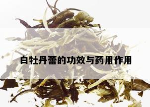 白牡丹蕾的功效与用作用