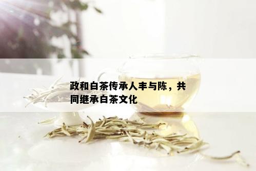 政和白茶传承人丰与陈，共同继承白茶文化